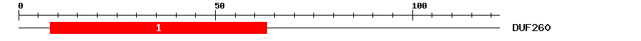 Signature Domain