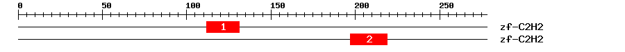 Signature Domain