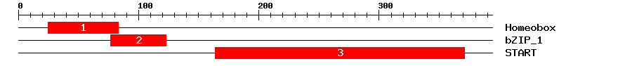 Signature Domain