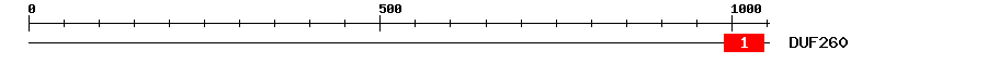 Signature Domain