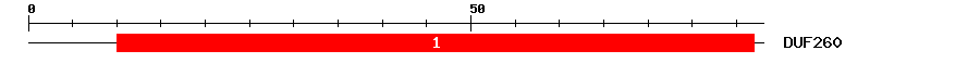 Signature Domain