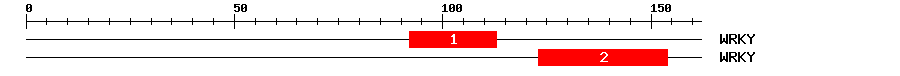 Signature Domain