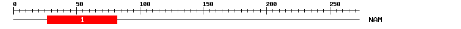 Signature Domain