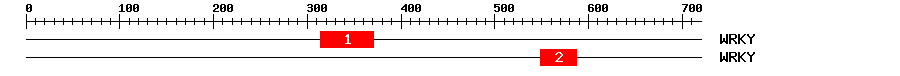 Signature Domain