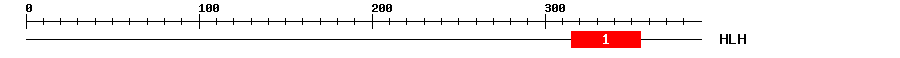 Signature Domain