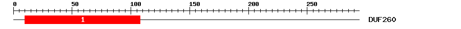 Signature Domain