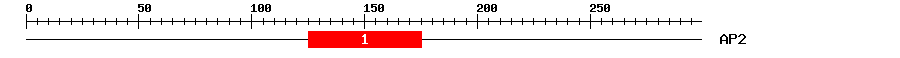 Signature Domain