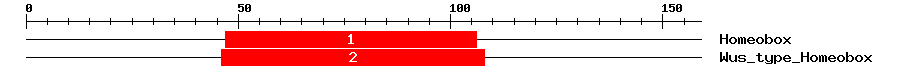 Signature Domain