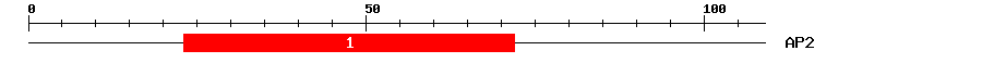 Signature Domain