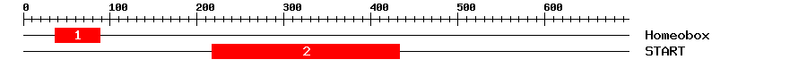 Signature Domain