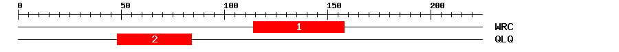 Signature Domain