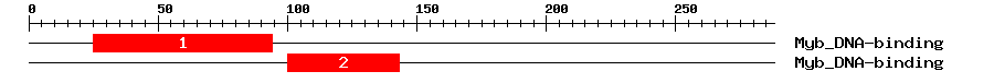 Signature Domain