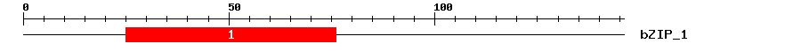 Signature Domain