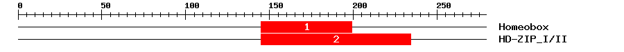 Signature Domain