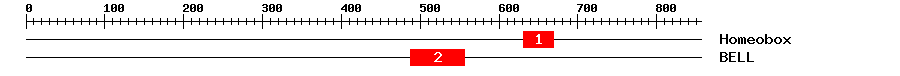 Signature Domain
