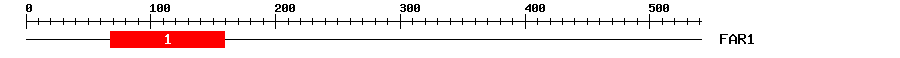 Signature Domain