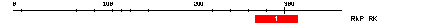 Signature Domain