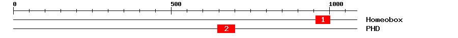 Signature Domain