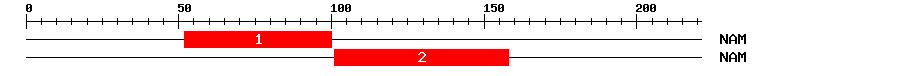 Signature Domain