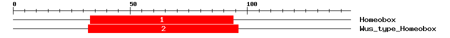 Signature Domain