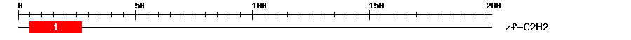 Signature Domain