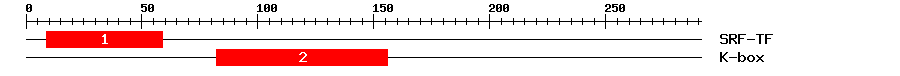 Signature Domain