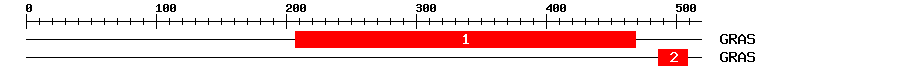 Signature Domain