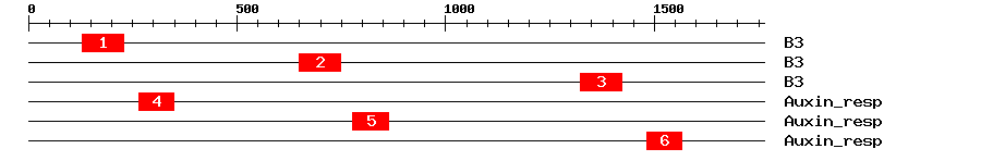 Signature Domain