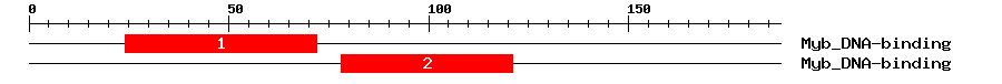 Signature Domain