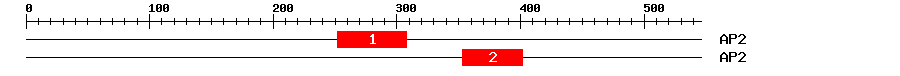 Signature Domain