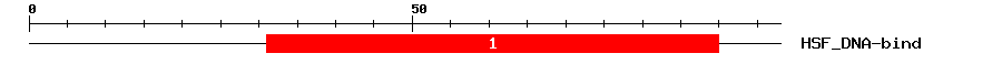 Signature Domain