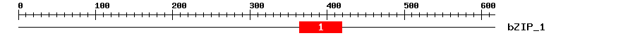 Signature Domain