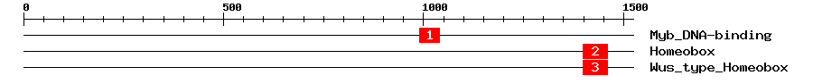 Signature Domain