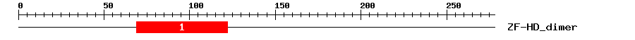 Signature Domain