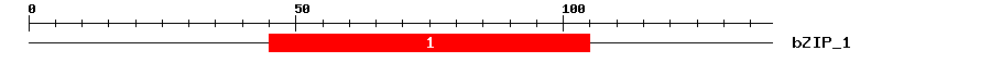 Signature Domain