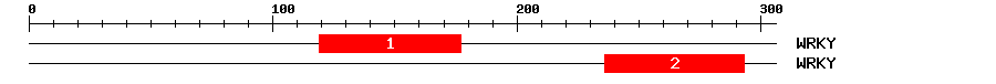Signature Domain