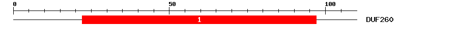 Signature Domain