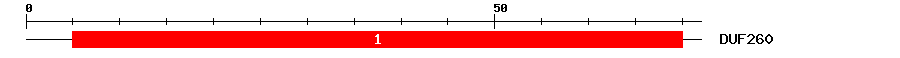 Signature Domain