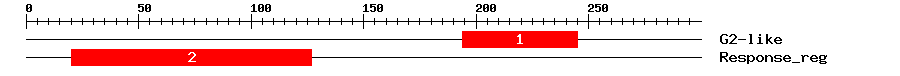 Signature Domain