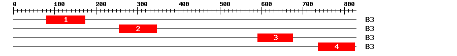 Signature Domain