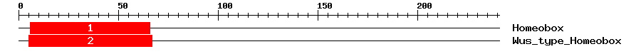 Signature Domain