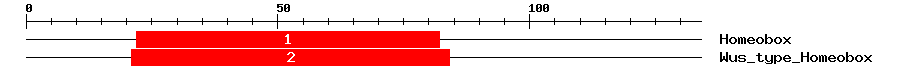 Signature Domain