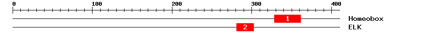 Signature Domain