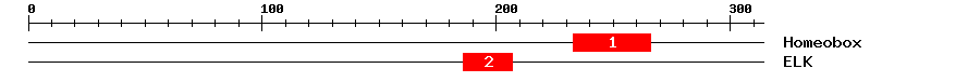 Signature Domain