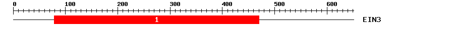 Signature Domain