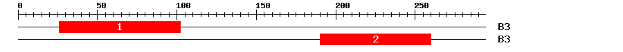 Signature Domain