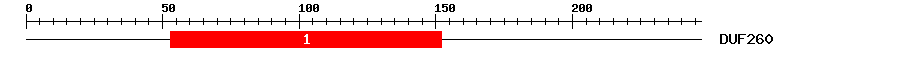 Signature Domain