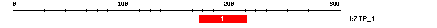 Signature Domain