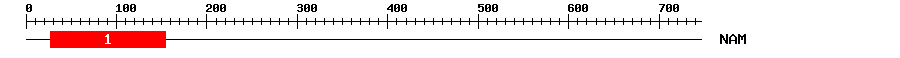 Signature Domain