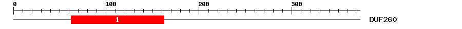 Signature Domain